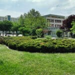 Grüne Füße in der Prohliser Allee