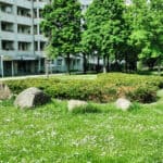 Grüne Füße in der Prohliser Allee