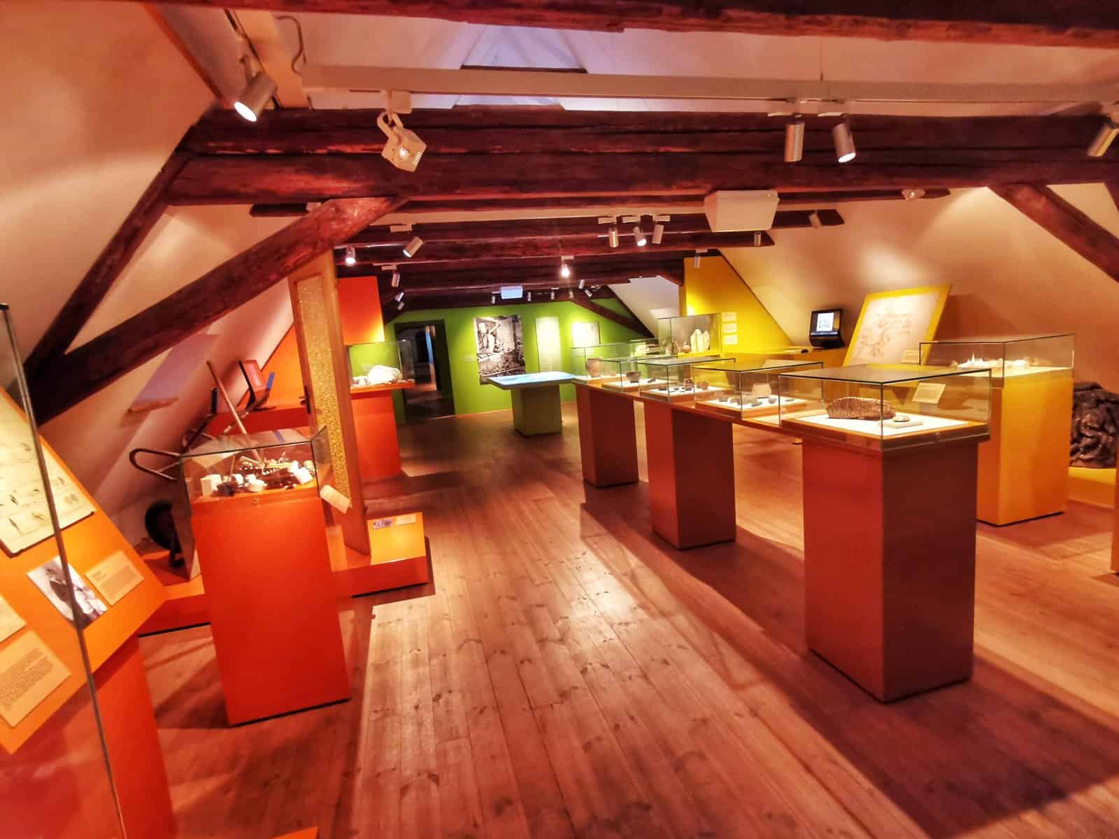 Palitzsch-Museum-25