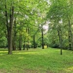 Schlosspark Prohlis 1