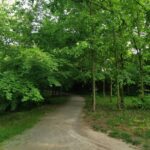 Schlosspark Prohlis 10