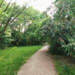 Schlosspark Prohlis 11