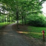 Schlosspark Prohlis 12