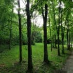 Schlosspark Prohlis 17
