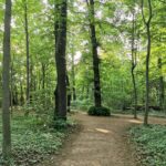 Schlosspark Prohlis 19