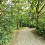 Schlosspark Prohlis 2