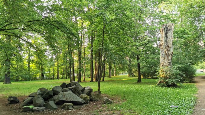 Prohliser Wald Prohliser Wald