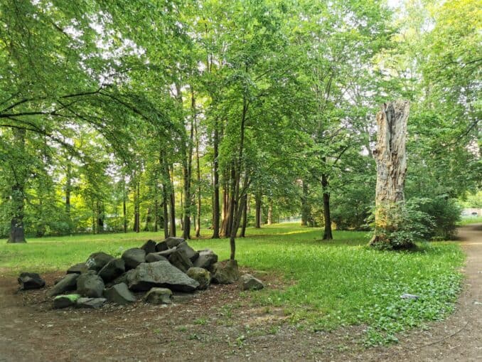Prohliser Wald und das ehemalige Schloss Prohliser Wald