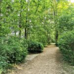 Schlosspark Prohlis 3