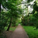 Schlosspark Prohlis 7