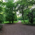 Schlosspark Prohlis 8